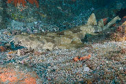 Fish Rock Pinnacle, New South Wales, Australia;  1/100 sec at f / 5,6, 20 mm