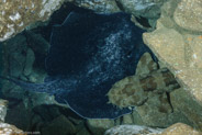 Fish Rock Cave, New South Wales, Australia;  1/125 sec at f / 5,6, 20 mm