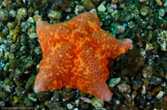 Goldfish Bowl, California, USA;  1/125 sec at f / 8,0, 17 mm