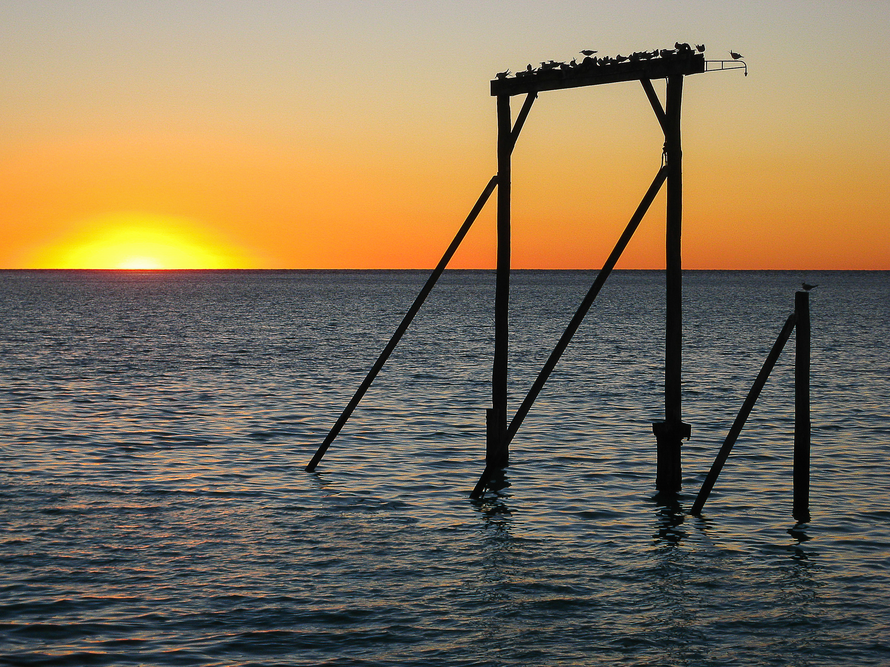 Heron Island